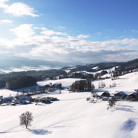 Panorama Leidingerhof ホテル モントゼー