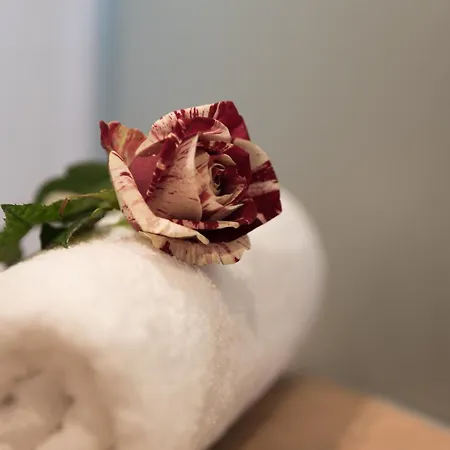 Panorama Leidingerhof Hotel Mondsee