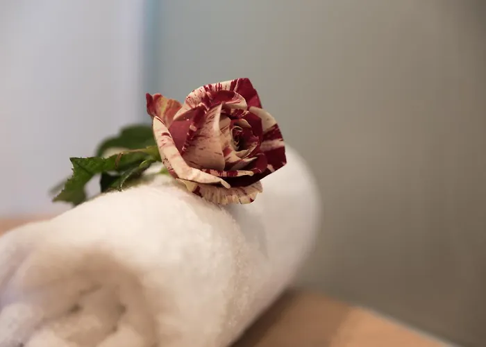 Panorama Leidingerhof Hotel Mondsee